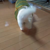 興味津々😃