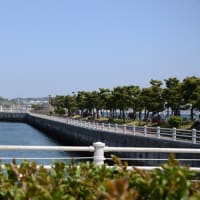 江の島・さざえ島