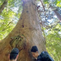 2024 鹿児島離島旅　２日目