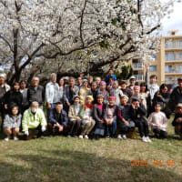 令和7（2025）年4月5日（土）桜満開の中、人は入れ替わっていますが35世帯76名で、和やかで笑い声の絶えないお花見会が開催しました。。