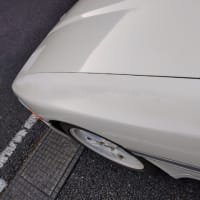 愛車、ドックイン！