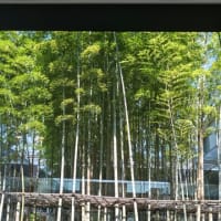 散歩気分で鎌倉芸術館