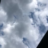 今日も雨が・・・