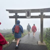 ニュージランドのクルーズ船 三原山編