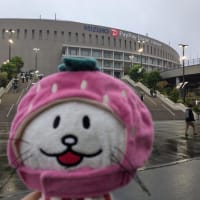 ドームDAY2のみに現れる奴（→わたしです！）