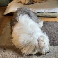 GW休み最終日