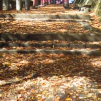 香坂～鼻顔稲荷神社～布引温泉