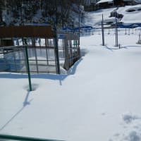 畑の積雪