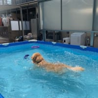 富士でプール遊び