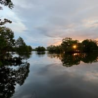 大沼公園の朝