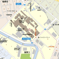 帝京大学