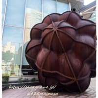 北陸旅行 3日目朝食は近江町市場で