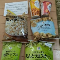 セブンマイルで引き換えたお菓子詰め合わせ