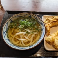 丸亀製麺　かけうどん(並)と天ぷら2個