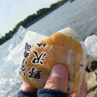 旧江戸川
