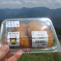 学能堂山　１０２１ｍ