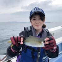 アジ釣りなら光進丸