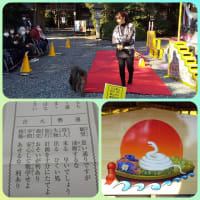 少しおくれて、初詣　⛩🐓