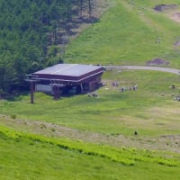 眺望抜群の山　八子ヶ峰(ﾔｼｶﾞﾐﾈ) (1,833ｍ)　　