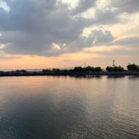 夕方散歩