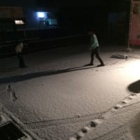 小野市も雪が…
