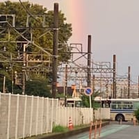 久しぶりの虹🌈