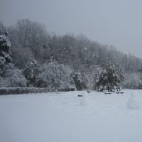2014年2月8日　大雪