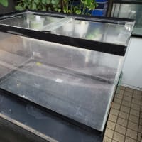 爬虫類などで使用してください