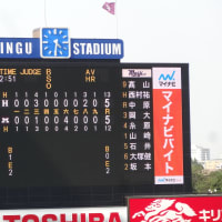 東京六大学野球２０１３年度春季リーグ戦第７週２日目（立教勝ち点で３位、法政10連勝での完全優勝ならず）