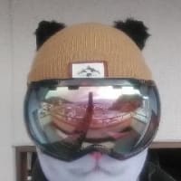 レッスン時は"ネコ（猫）"になる