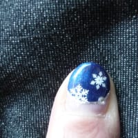 ベリーベリータルトと雪の結晶＆シルバーライン