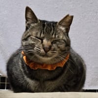 これから暑くなるんだって！