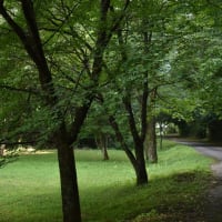 薄曇りの 福崎公園