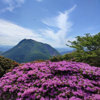 鶴見岳からの眺め