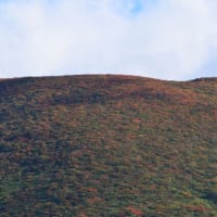 山頂エリアが紅葉の見頃