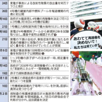 冷温停止状態宣言から１年　廃炉の道のり遠く　（毎日新聞）