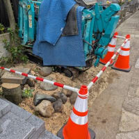 ★墓地の一角の整備（しらかし伐採・伐根）