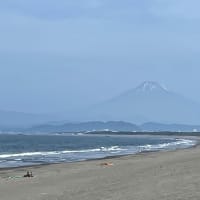 お山も律儀に衣替え