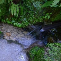 真夏の一研究「遠山の観音霊水」VS「猿倉の泉」③　猿倉の泉