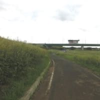 堤防の道は長かった　（東海道五十七次歩き旅・摂津国）