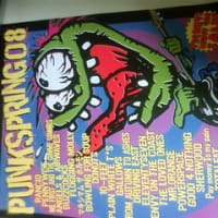 punkspring 08