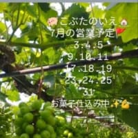 ７月3.4.5営業🚩木金土10時〜15時✨