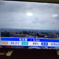６月２３日鶴舞公園テニスコートは雨
