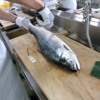イヨボヤ未来プロジェクトメンバーの作業①