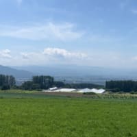 6月19日