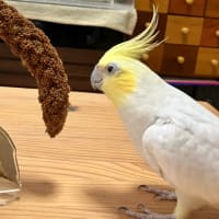 ねぇたん⭐︎小さいでス？