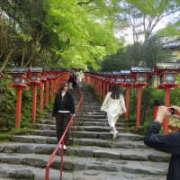 貴船山ハイキング