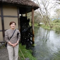 索引  白馬・信州長期滞在の旅　  2019.10.14～10.20　