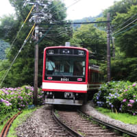 箱根登山鉄道