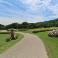 明石海峡公園２０２５年６月その４